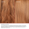 THE HEALTHY HAIR DISCOVERY SET OLAPLEX