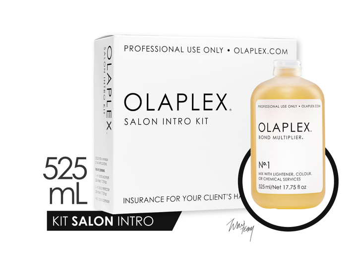 OLAPLEX SALON INTRO KIT